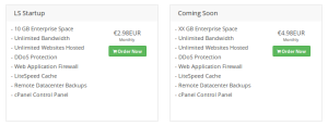 litespeed enerprise webserver hosting