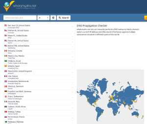 DNS Propagation Checker