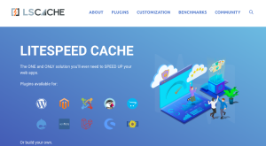 Litespeed Cache (LSCache)