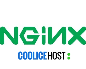 NGINX hosting