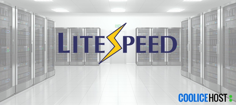 install litespeed web server