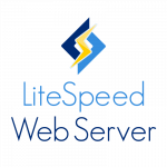 High Speed and Performance With LiteSpeed Web Hosting
