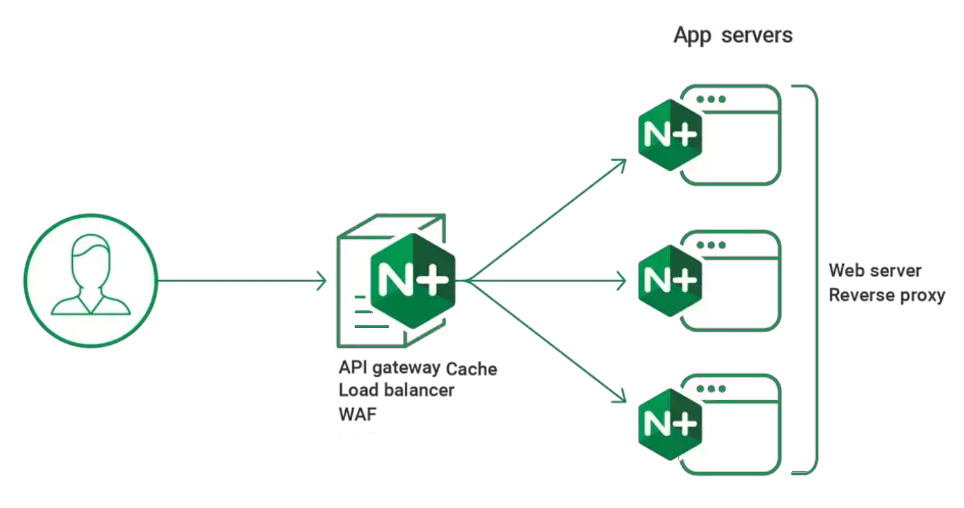 Nginx Shared Hosting