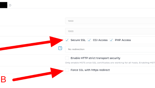 DirectAdmin Let’s Encrypt SSL Installation Guide